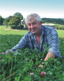 A field of clover at Deer Park Farm
