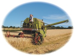 Combine harvesting at Deer Park Farm