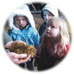 School visit to Deer Park Farm, Cornwall