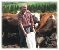Feeding the stock at Deer Park Farm